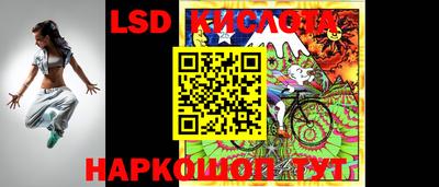 стаф Новодвинск