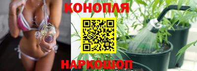 стаф Новодвинск