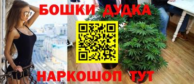 стафф Новозыбков