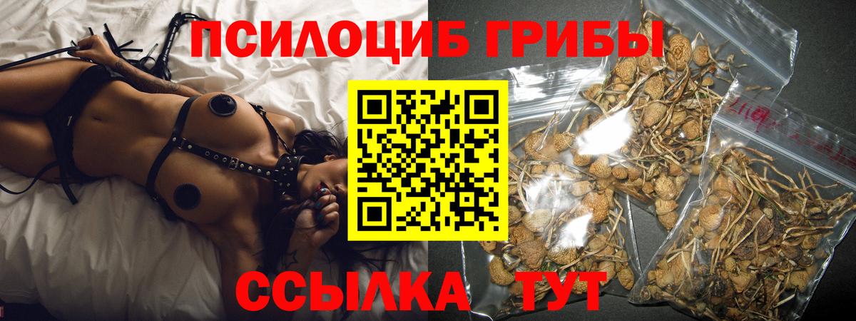 Галлюциногенные грибы прущие грибы Хабаровск